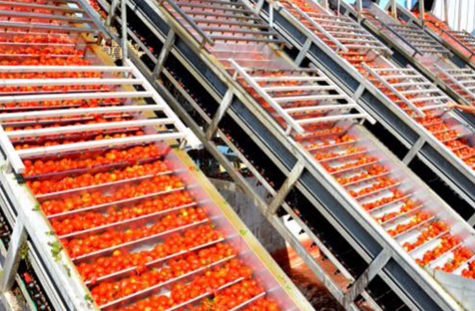 SACO ASSÉPTICO PARA PURÊS E CONCENTRADOS DE FRUTAS
